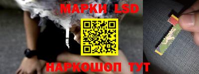 наркотики Кингисепп