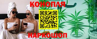 наркотики Кингисепп