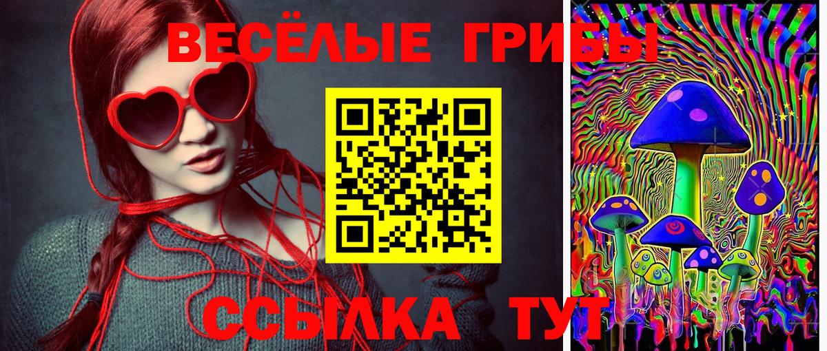 где продают наркотики  Галлюциногенные грибы ЛСД  Вход с VPN  Галлюциногенные грибы мицелий  Торжок 