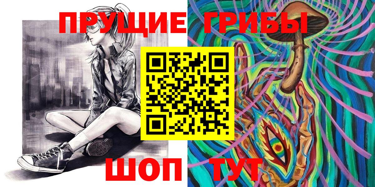 Псилоцибиновые грибы Psilocybine cubensis Торжок